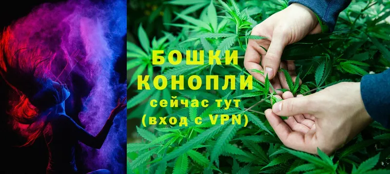 купить наркотик  Вытегра  Бошки марихуана OG Kush 